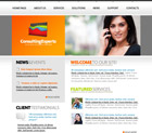 Consulting Experts Website Template